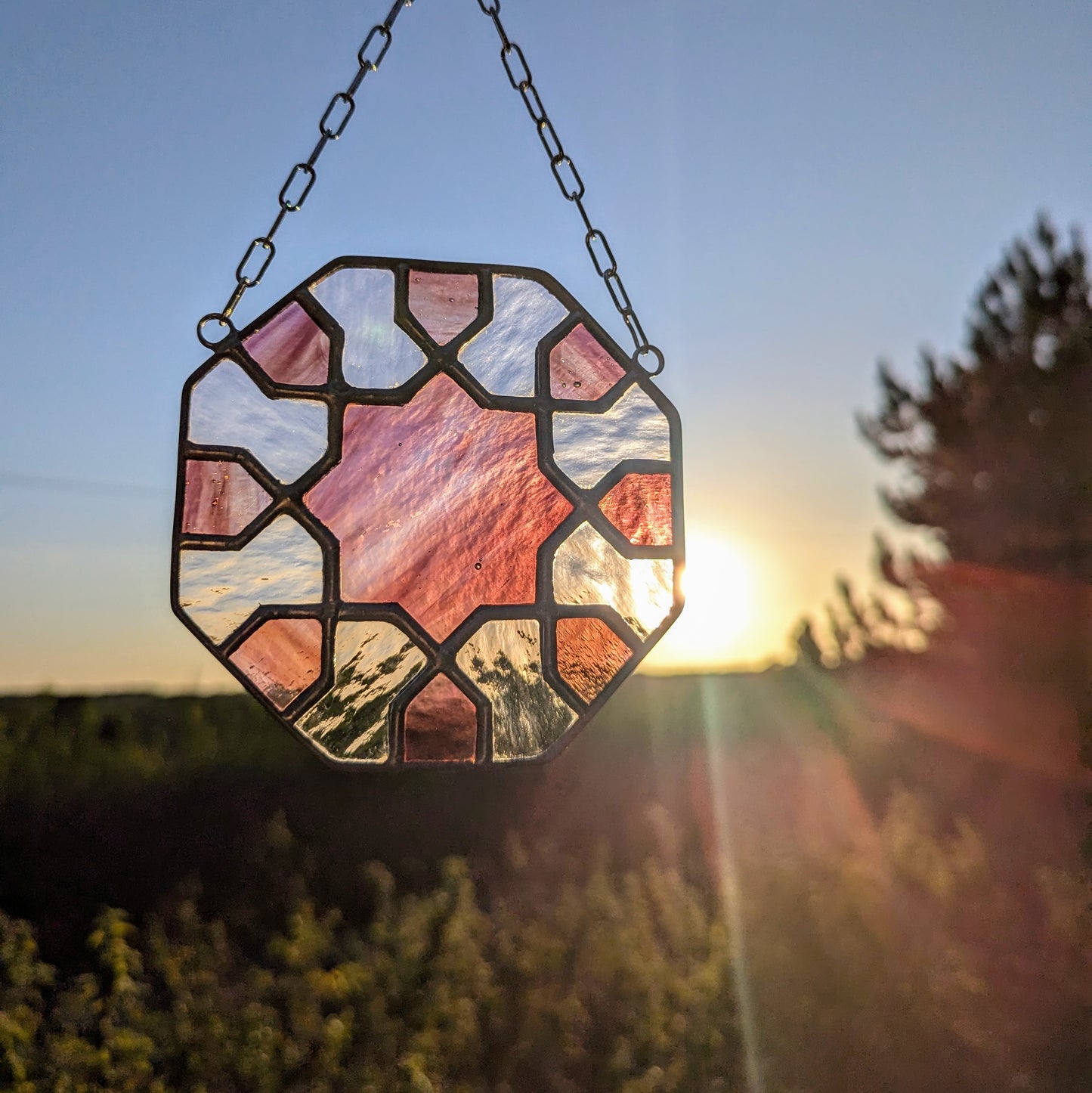 Estrella del desierto