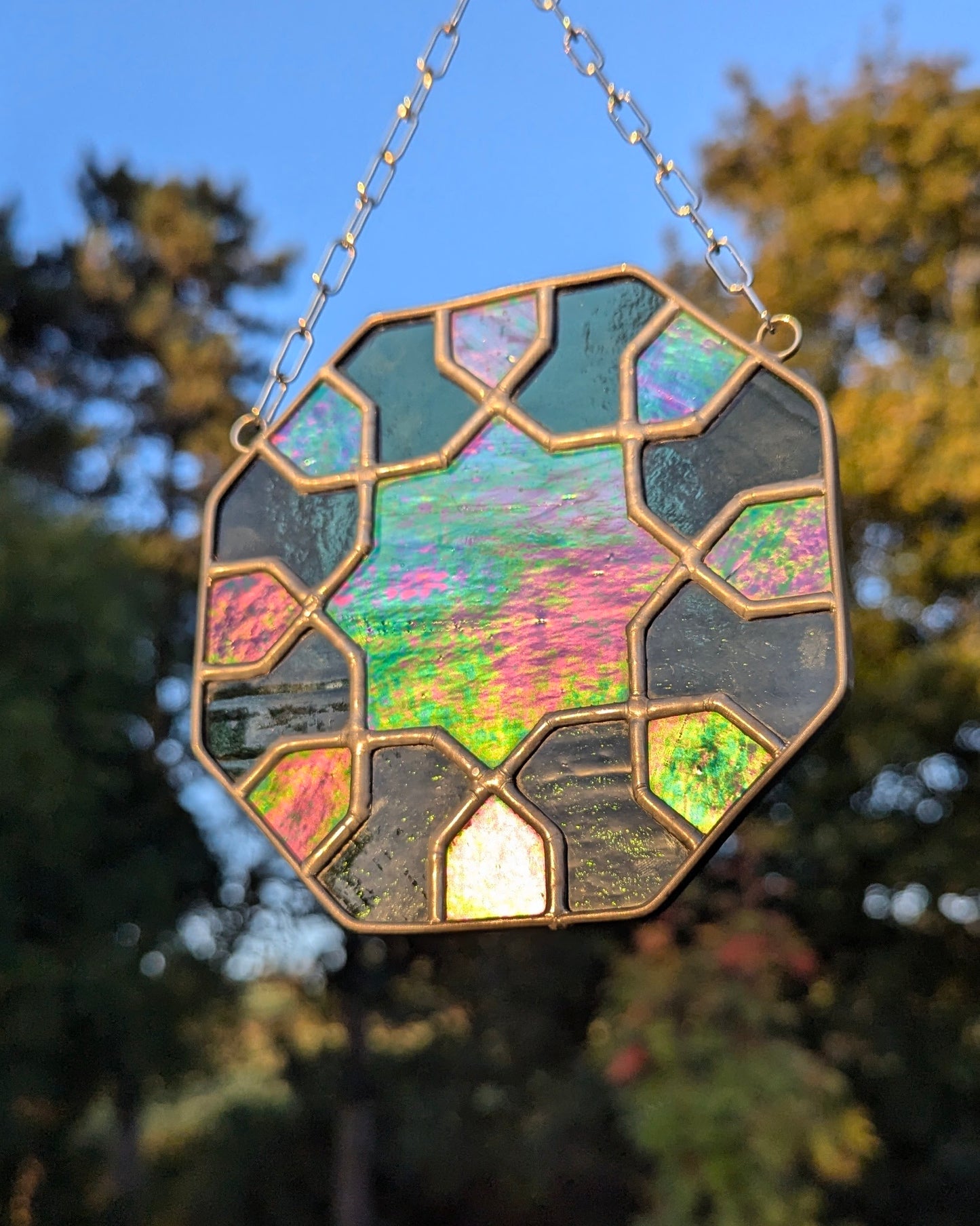 Estrella del desierto